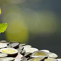 economic-growth-blog-img-OFW